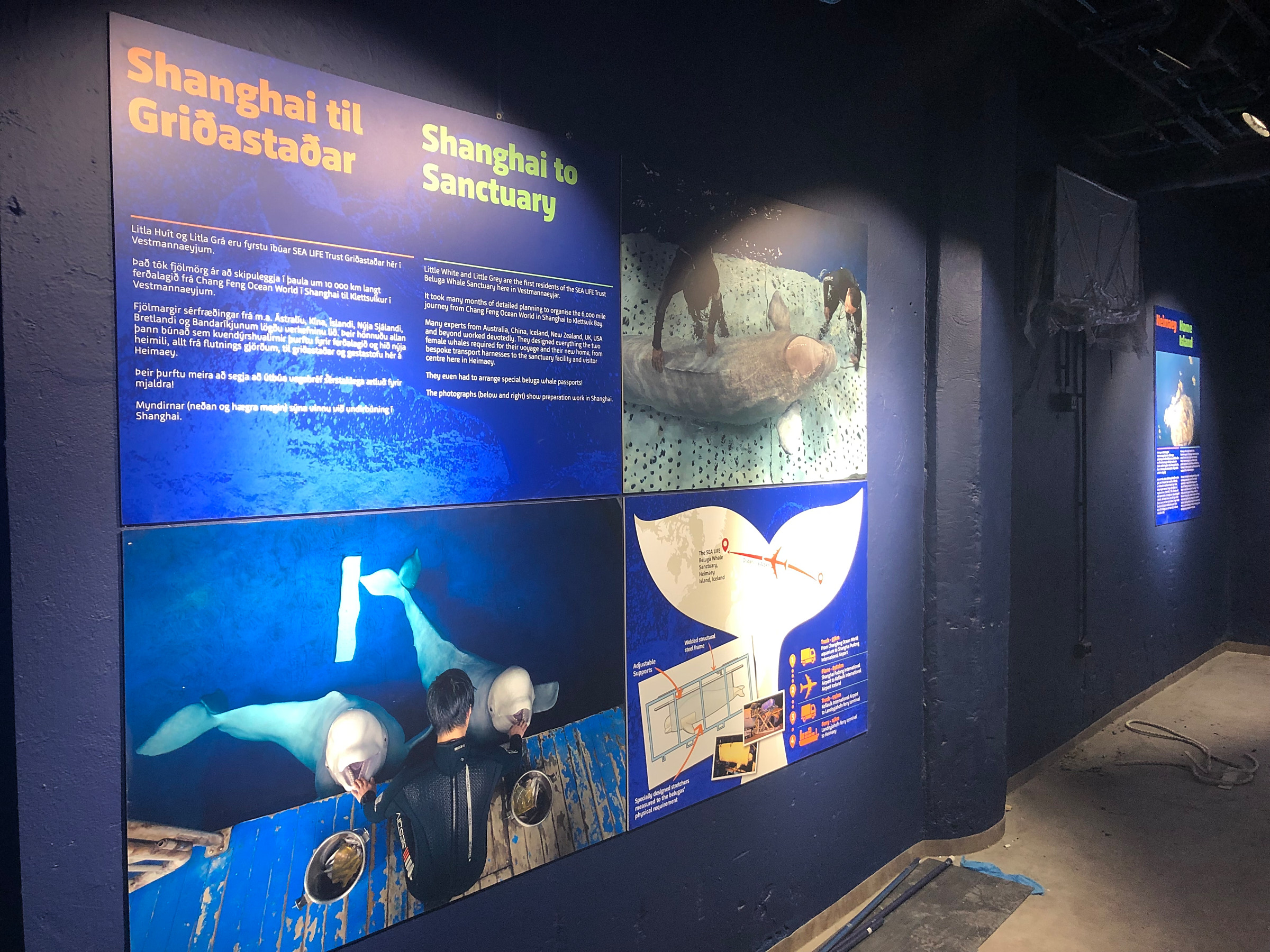 Beluga-Interp panels (3)