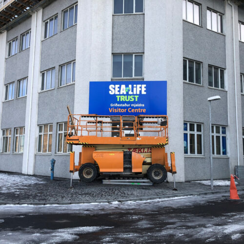 Beluga Kilt main sign instal 11