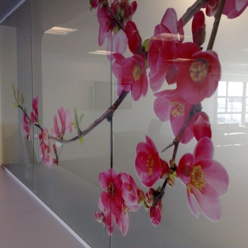 bournemouth university window graphics 3 2