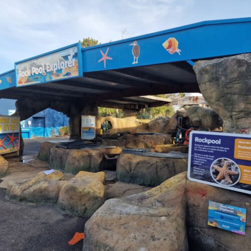 Sea Life Adventure Park Interactive Displays 2