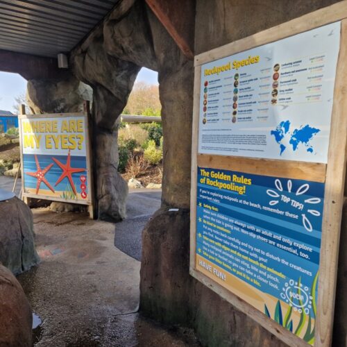 Sea Life Adventure Park Interactive Displays 3