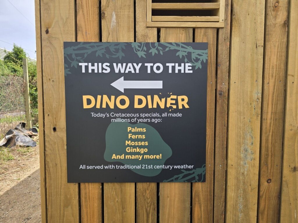 Jurassic Discovery 05