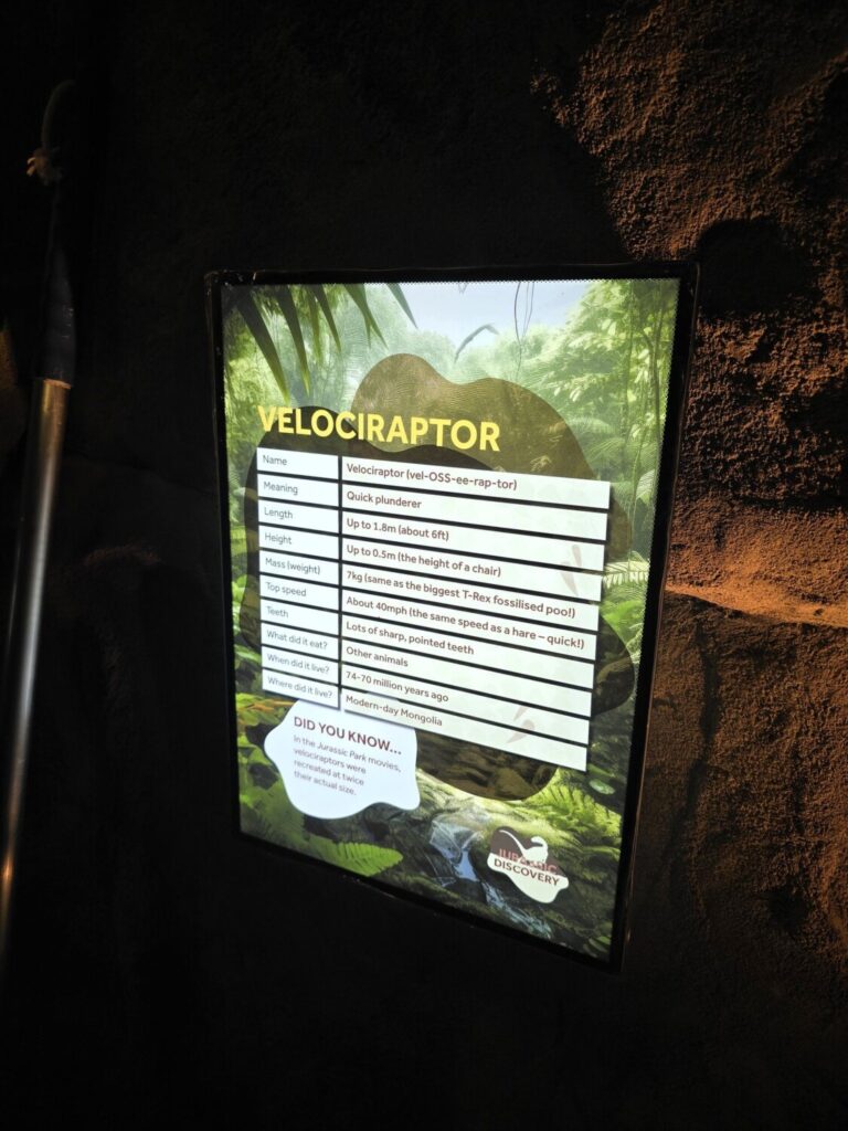 Jurassic Discovery 06