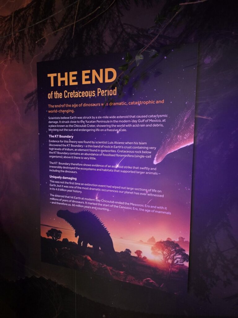 Jurassic Discovery 07