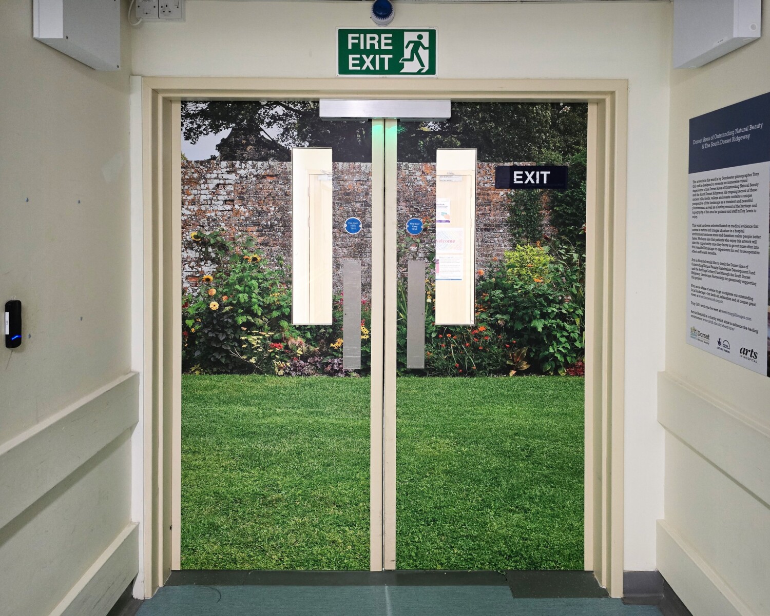 Dorset County Hospital 2 Dorset County Hospital 2