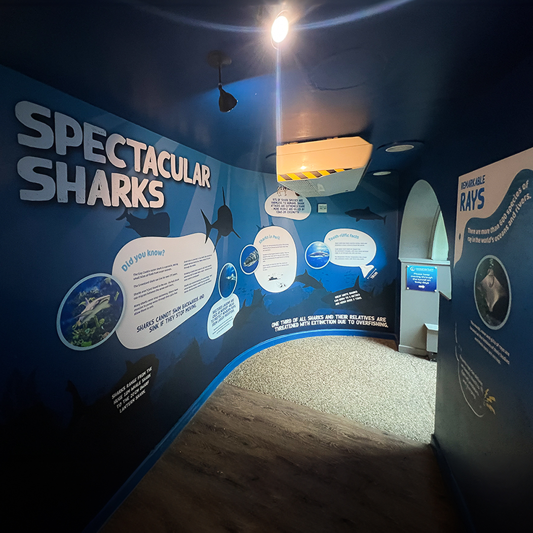 Oceanarium 1