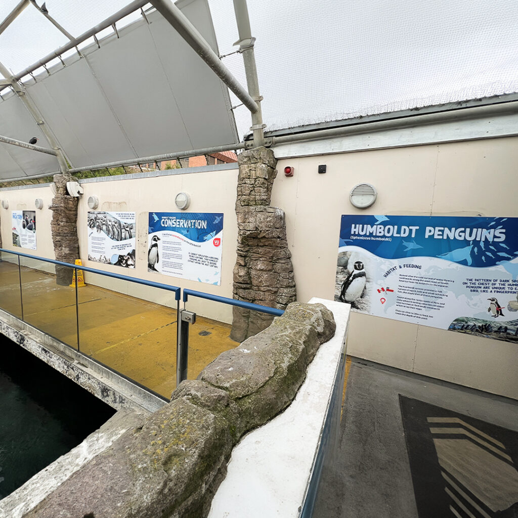 Oceanarium 4