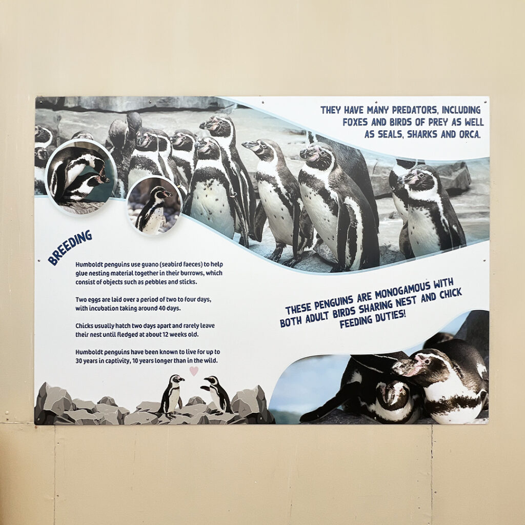 Oceanarium 8