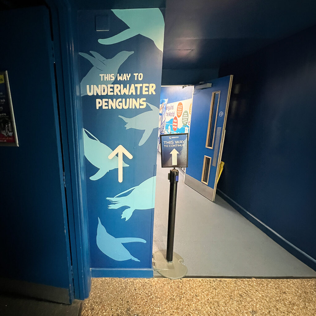 Oceanarium 9