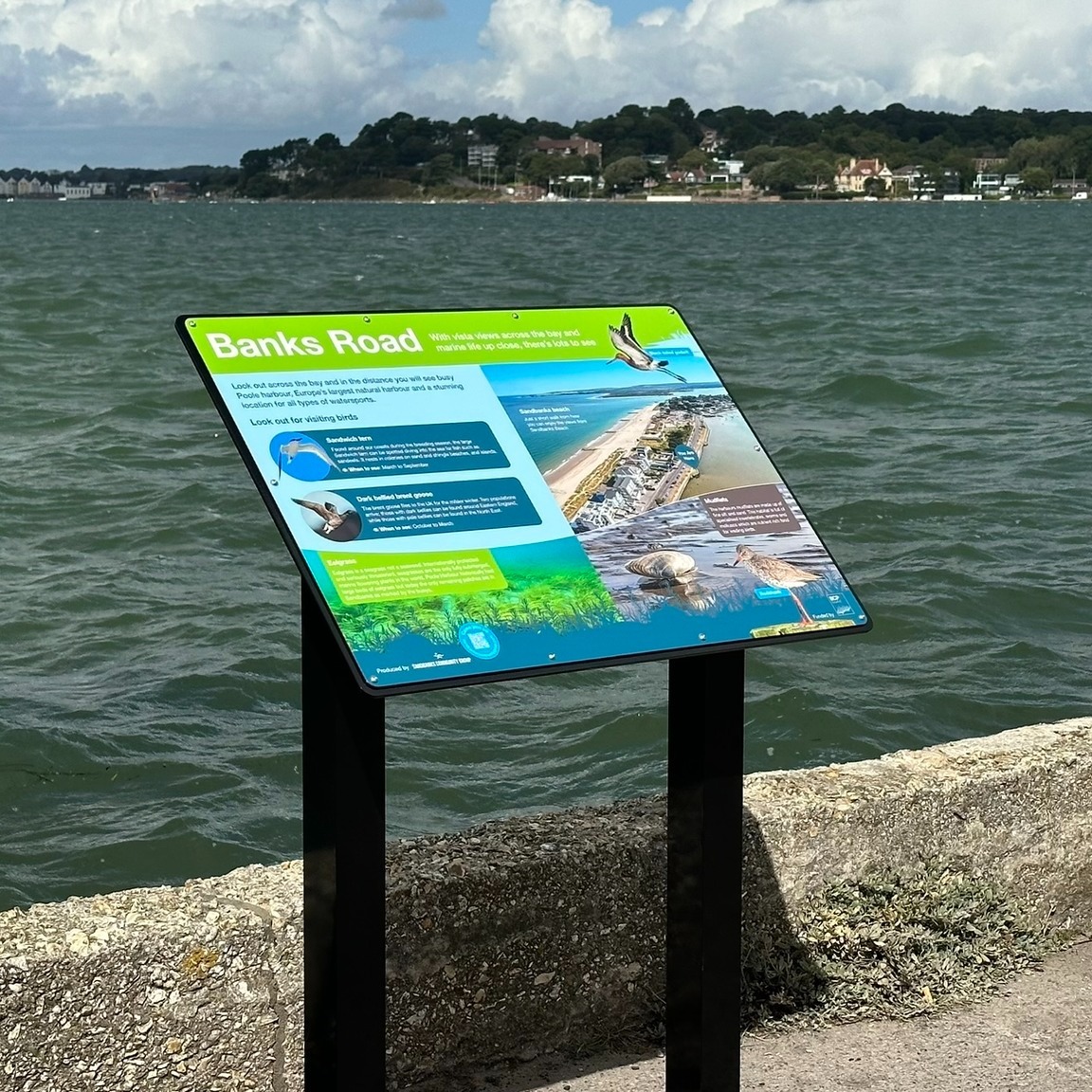 Sandbanks 1