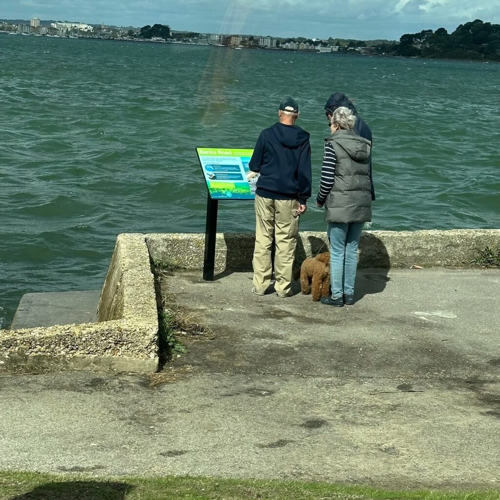 Sandbanks 3