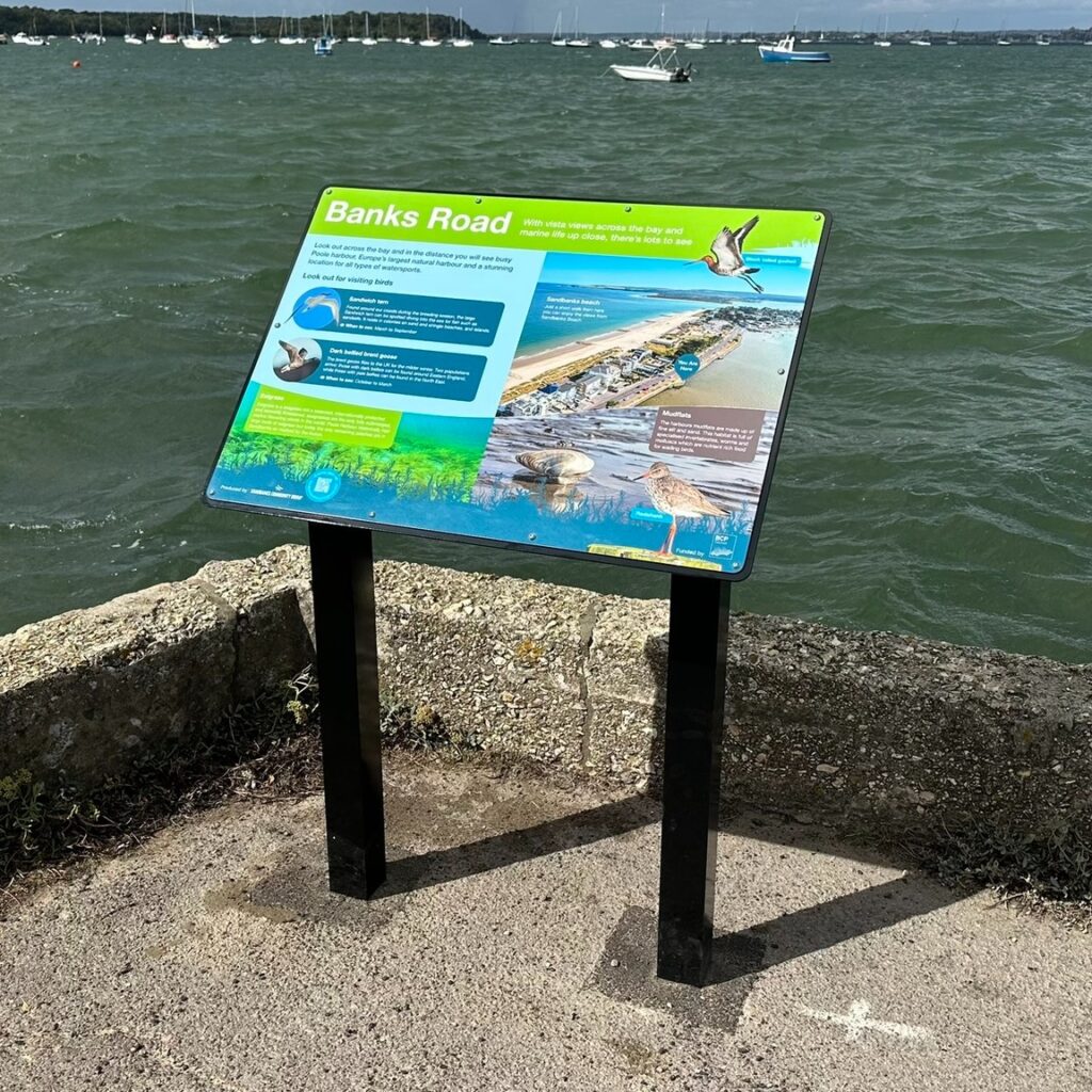 Sandbanks 5