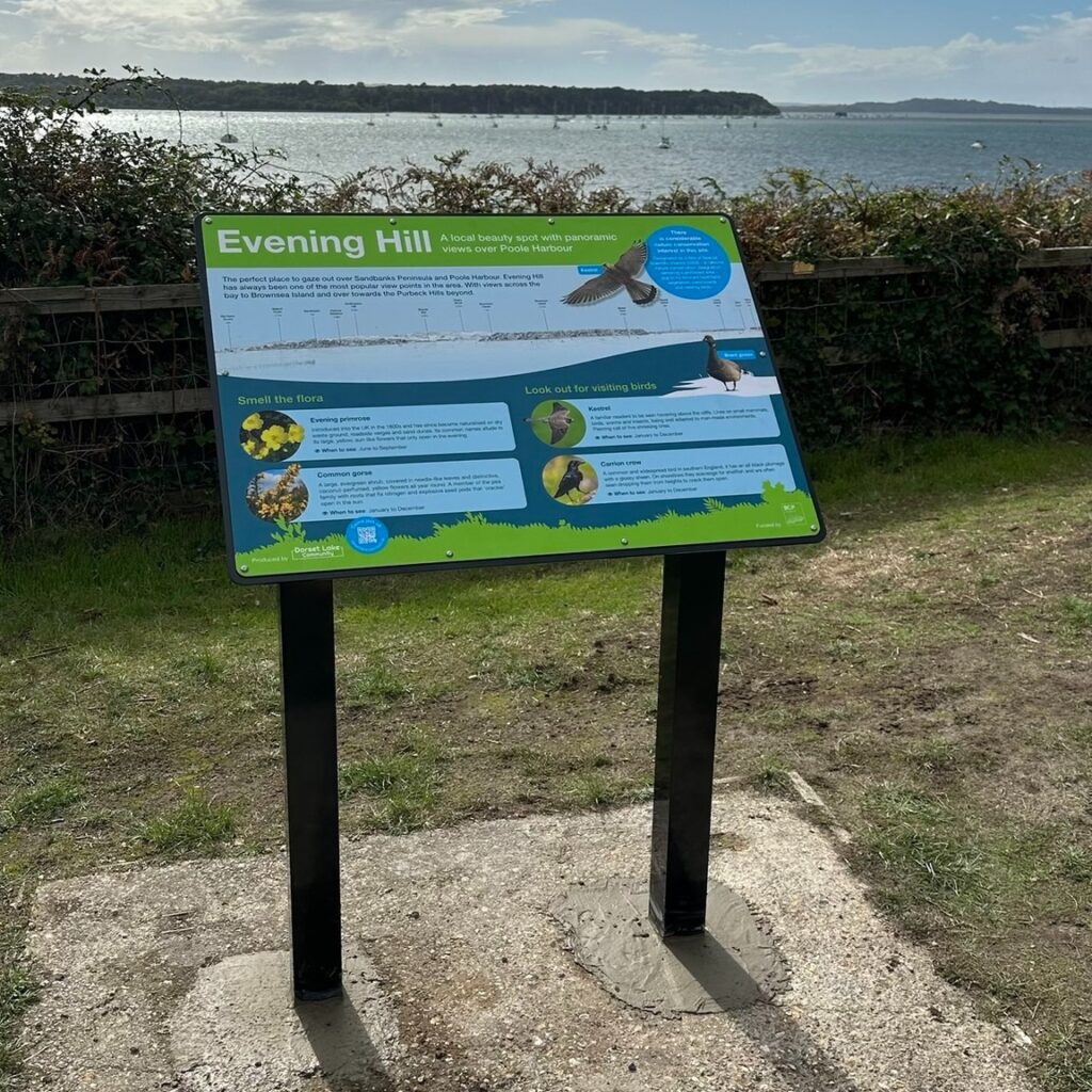 Sandbanks 6